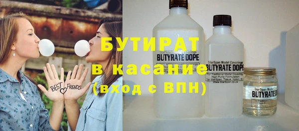 шишки Аркадак