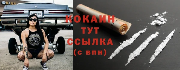 ГАЛЛЮЦИНОГЕННЫЕ ГРИБЫ Арсеньев