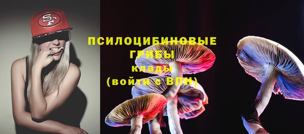 ГАЛЛЮЦИНОГЕННЫЕ ГРИБЫ Арсеньев