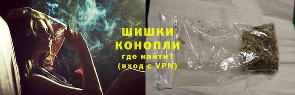 шишки Аркадак