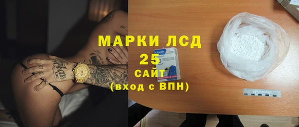 ГАЛЛЮЦИНОГЕННЫЕ ГРИБЫ Арсеньев