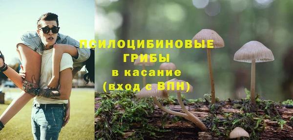 шишки Аркадак