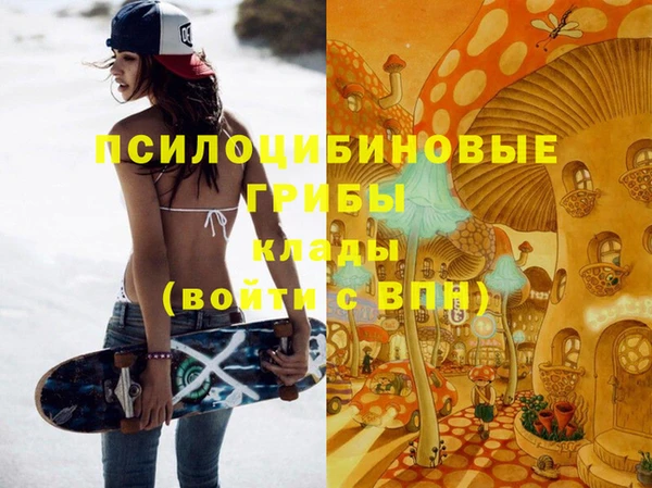 ГАЛЛЮЦИНОГЕННЫЕ ГРИБЫ Арсеньев