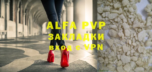 шишки Аркадак