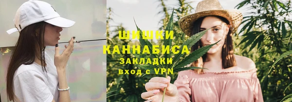 шишки Аркадак