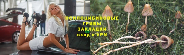шишки Аркадак