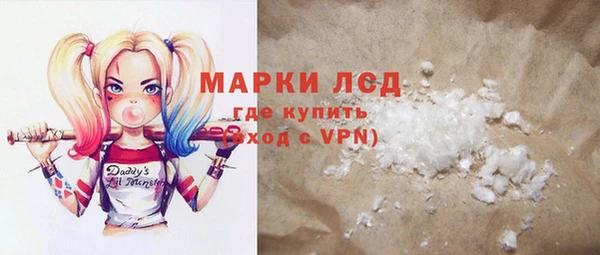 шишки Аркадак